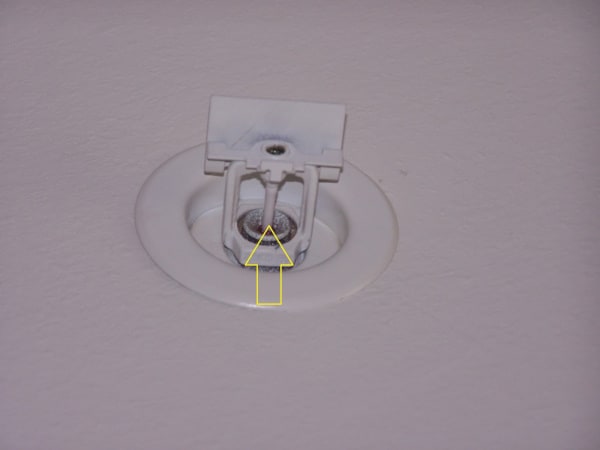 Painted sidewall sprinkler head; do not hang items from sprinkler head