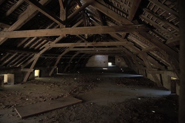 Uninsulated attic; do not hang items from sprinkler head