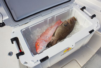 Pelican ProGear Elite Cooler 35 QT