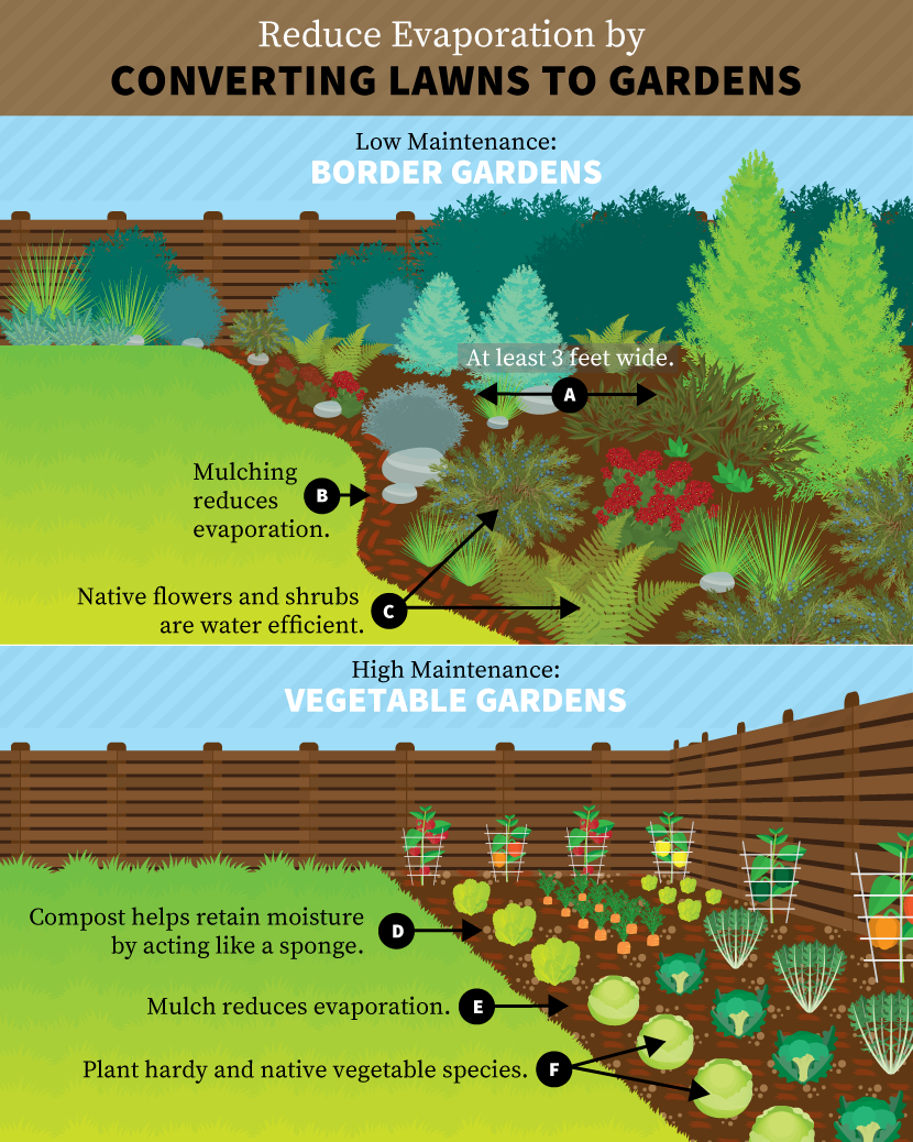 Drought Proofing Your Property: Converting Lawns to Gardens